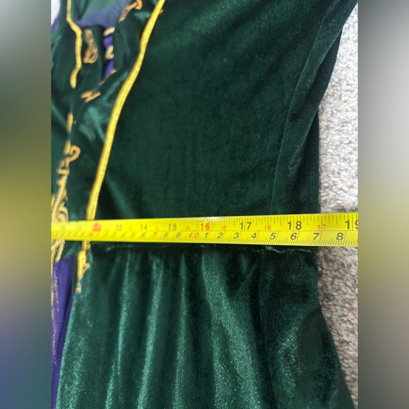 Hocus Pocus Winifred Winnie Sanderson Dress Halloween Costume Women’s 1X - Picture 5 of 7